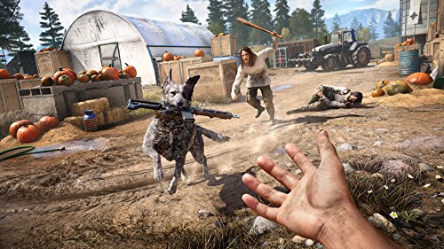 Far Cry 5 (GB) — Gold Edition