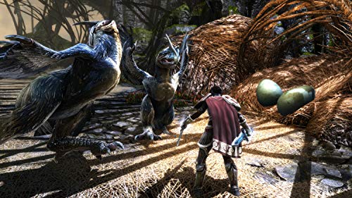 Kingdoms of Amalur: Re-Reckoning (DE)