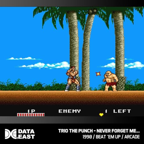 Data East Arcade Collection 2 Cartridge