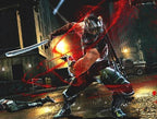 Ninja Gaiden 3 (AT)