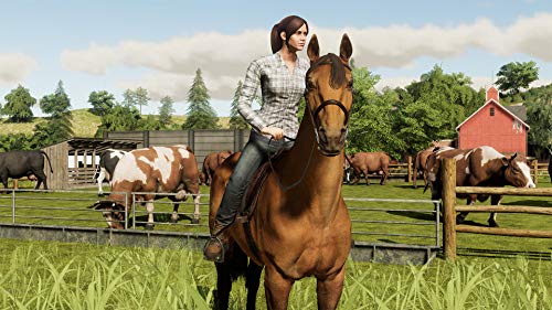 Landwirtschafts-Simulator 19 (DE) — Premium Edition