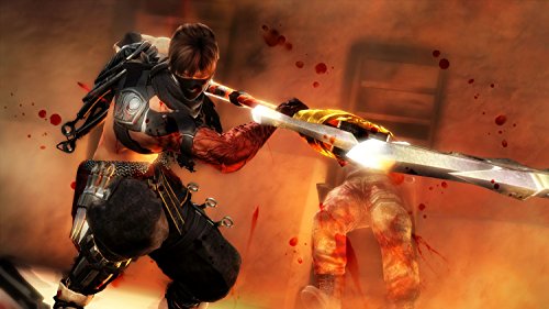 Ninja Gaiden 3 (DE) — Essentials