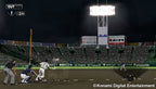 Professional Baseball Spirits 2014 (JP)