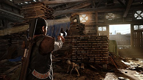Days Gone (DE)