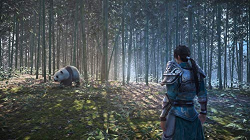 Dynasty Warriors 9 PS Hits