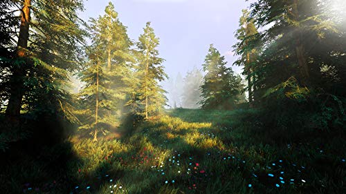 Hunting Simulator 2 (DE)