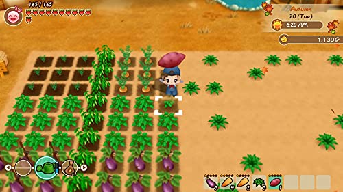 Story of Seasons: Friends of Mineral Town (DE)