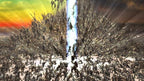 N3: Ninety-Nine Nights (FR)