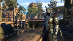 The Elder Scrolls Online: Morrowind (DE)