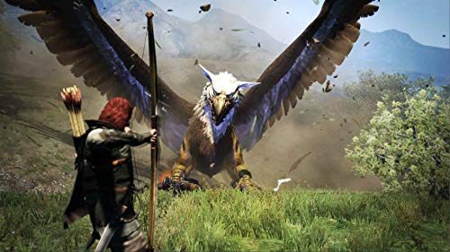 Dragons Dogma: Dark Arisen (US)