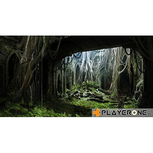 Dragon Age: Inquisition (FR)