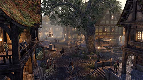 The Elder Scrolls Online Collection Blackwood (DE)