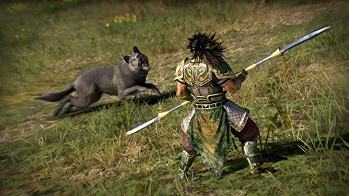 Dynasty Warriors 9 PS Hits