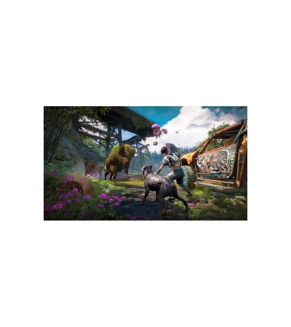Far Cry: New Dawn (FR)