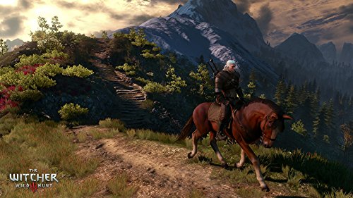 The Witcher 3: Wild Hunt Collector's Edition (DE) — Big Box