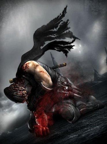 Ninja Gaiden 3 (AT)