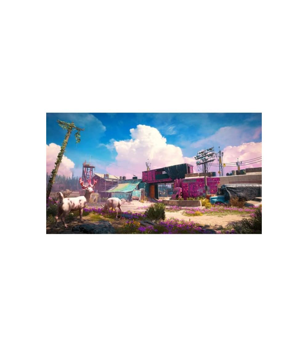 Far Cry: New Dawn (FR)