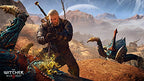 The Witcher III: Wild Hunt (FR)