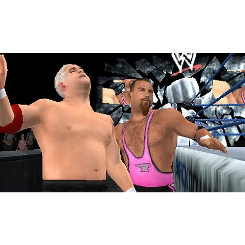WWE SmackDown vs. RAW 2007 (DE) — Platinum