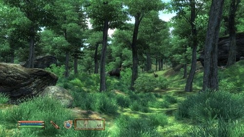 The Elder Scrolls IV: Oblivion (DE)