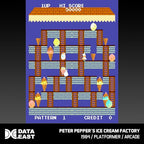 Data East Arcade Collection 2 Cartridge