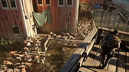 Days Gone (DE)