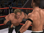 WWE SmackDown vs. RAW 2007 (DE) — Platinum