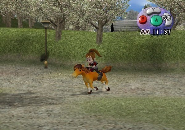 Harvest Moon: Another Wonderful Life (US)