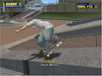 Tony Hawk's Pro Skater 4 (DE)