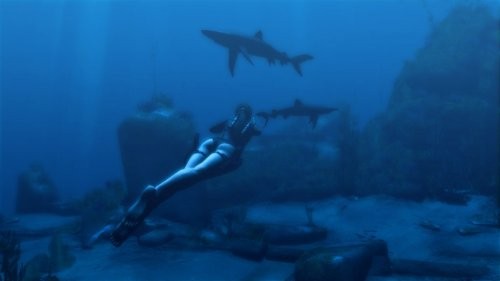 Tomb Raider: Underworld (US)