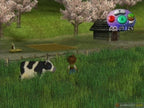 Harvest Moon: A Wonderful Life (US)