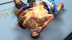 UFC Undisputed 2009 (GB)
