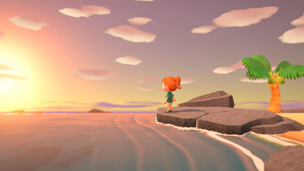 Animal Crossing: New Horizons (FR)