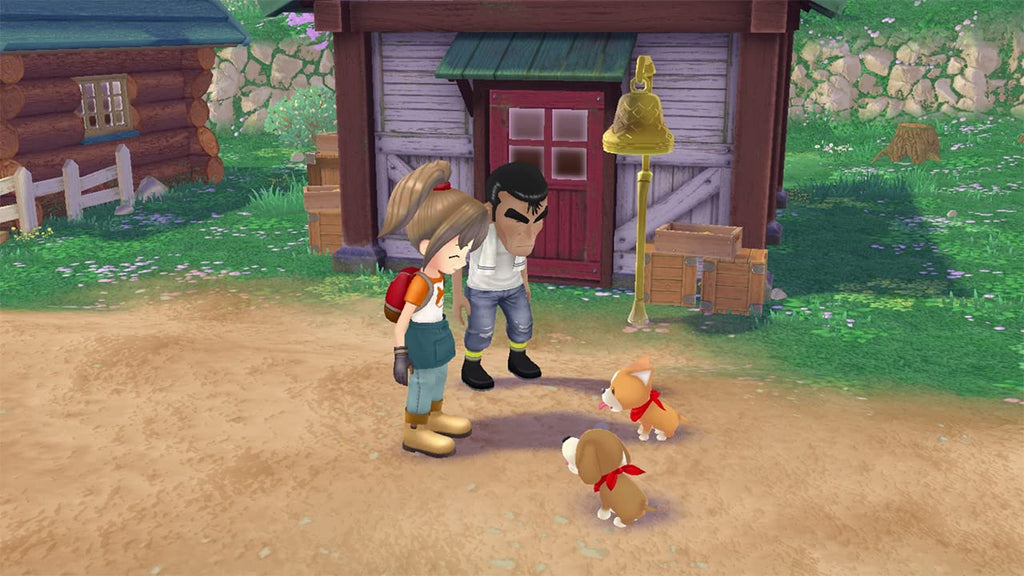 Story of Seasons: A Wonderful Life (DE)
