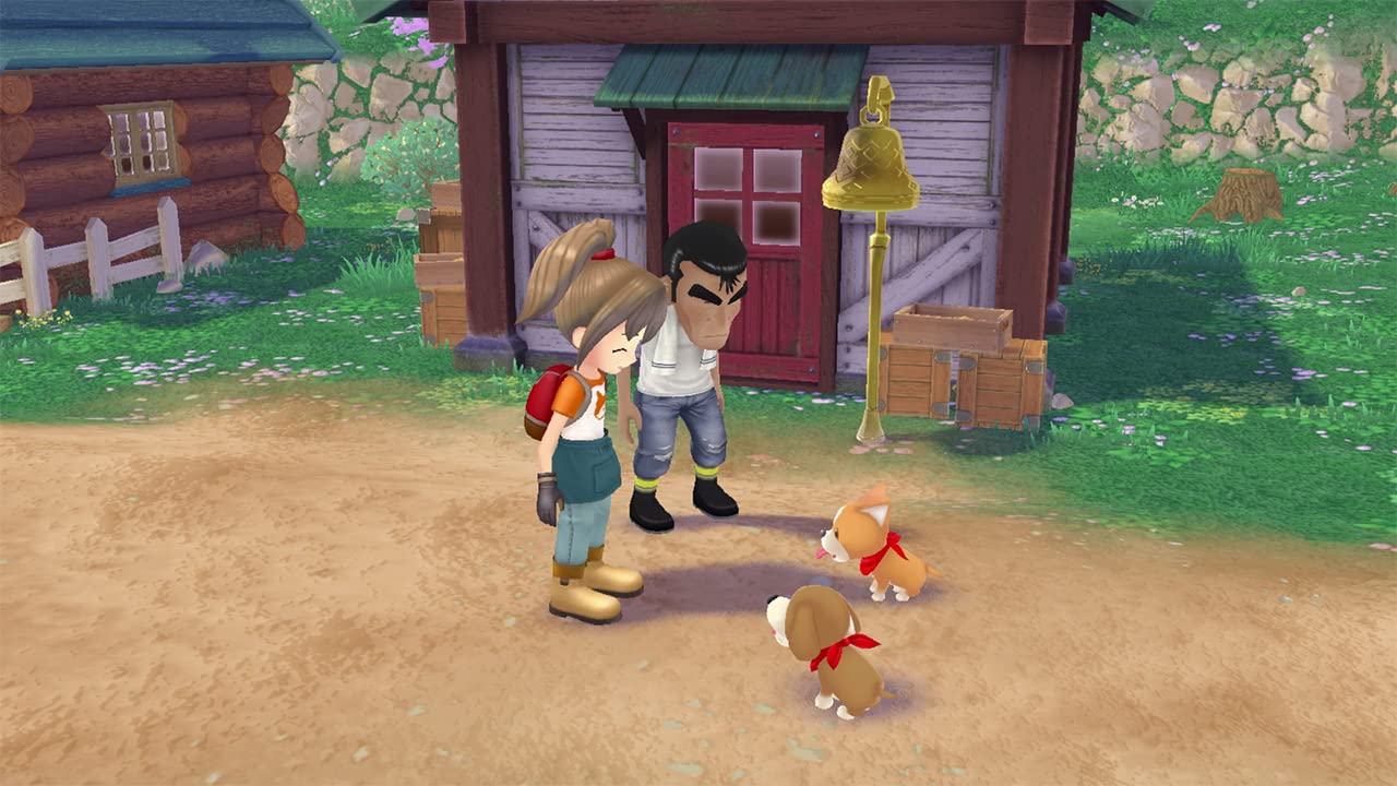 Story of Seasons: A Wonderful Life (DE)