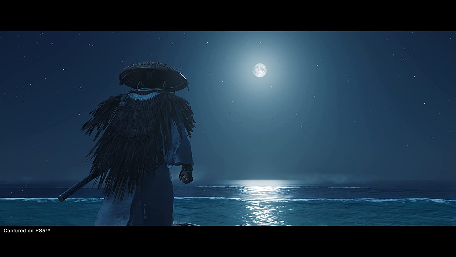 Ghost of Tsushima (DE) — Director's Cut