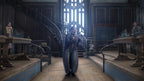 Hogwarts Legacy (DE)