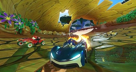 Team Sonic Racing (FR)