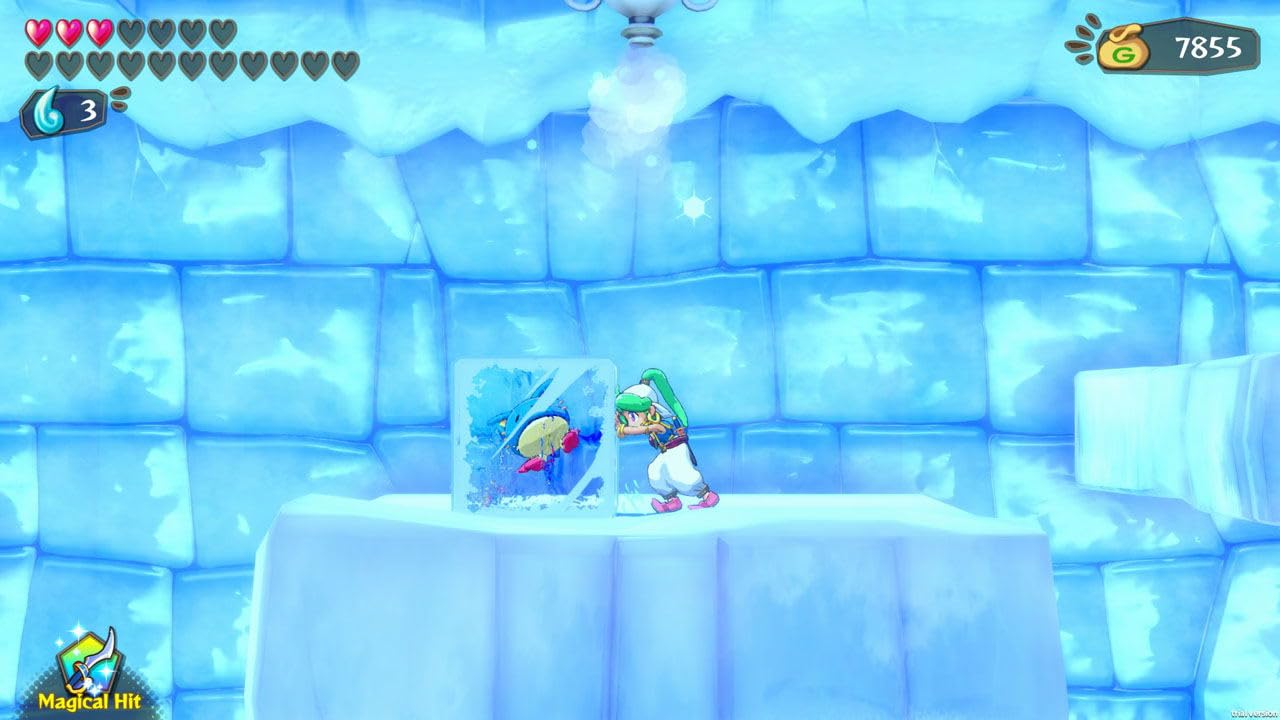 Wonder Boy: Asha in Monster World (US)