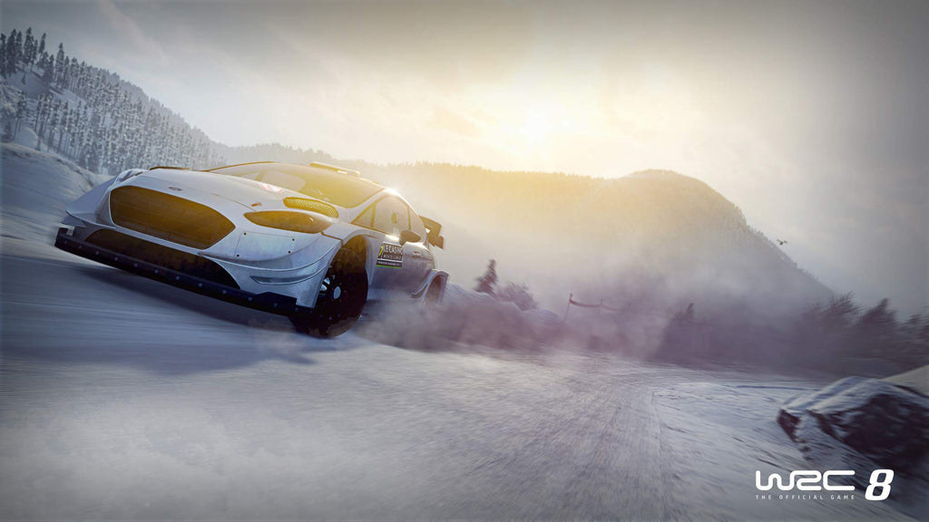 World Rally Championship 8 (DE)