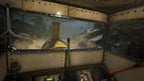 Choo Choo Charles (EU)