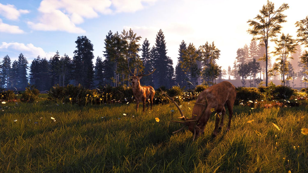 Ostwind: Beginn einer wunderbaren Freundschaft (DE) — Remastered