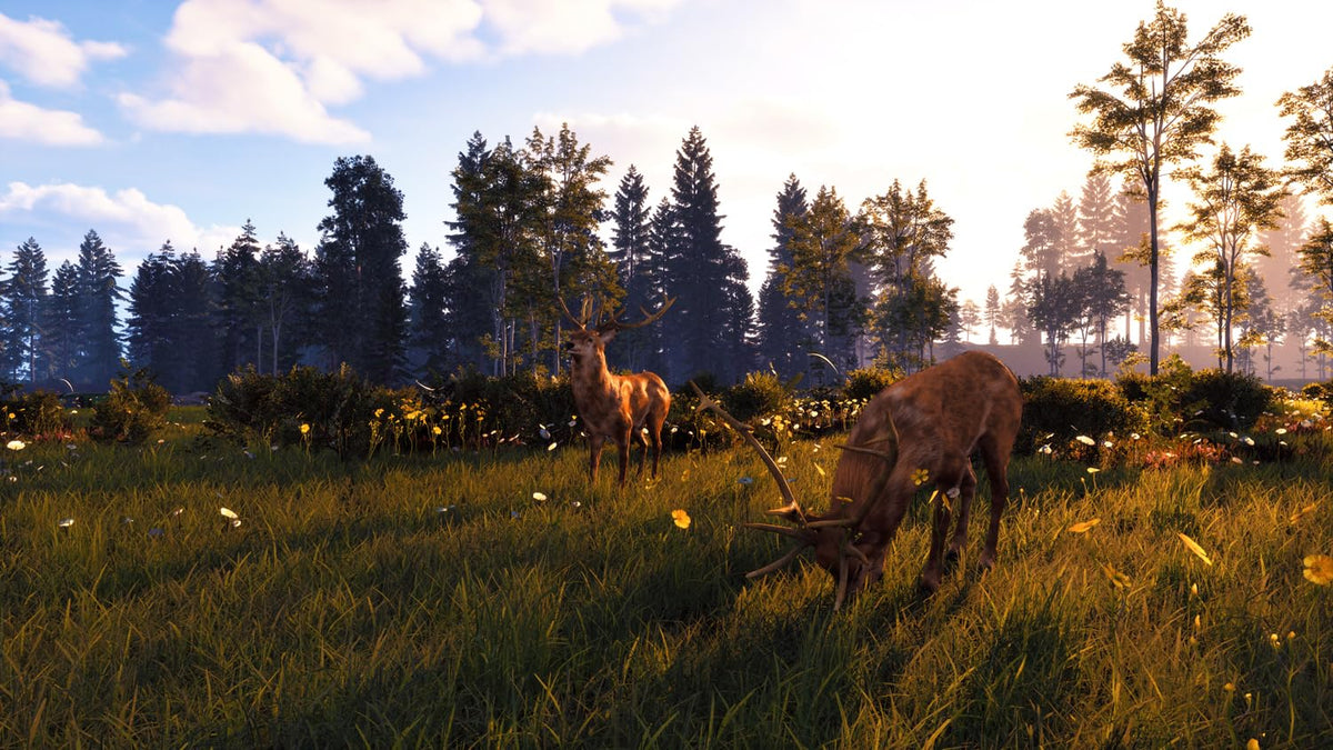 Ostwind: Beginn einer wunderbaren Freundschaft (DE) — Remastered