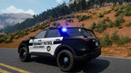 Highway Police Simulator (DE)