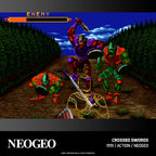 Neo Geo Arcade 2 (DE)