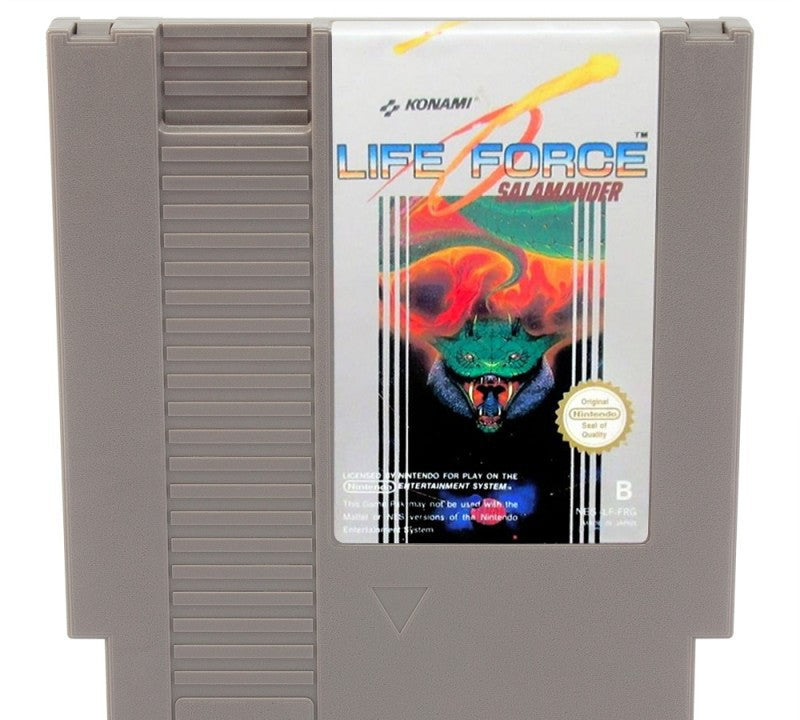 Life Force Salamander