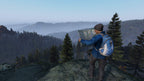 DayZ (DE)