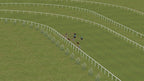 Horse Racing (DE)