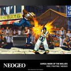 Neo Geo Arcade 2 (DE)