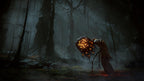Elden Ring Shadow of the Erdtree Edition (DE) — Shadow of the Erdtree Edition